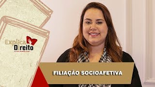 Explica Direito Filiação Socioafetiva  2019 [upl. by Sergio479]