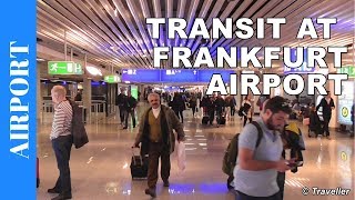 TRANSIT WALK AT FRANKFURT Airport FRA Terminal 1  Connection Flight Transfer Arriving amp Departing [upl. by Steffane236]